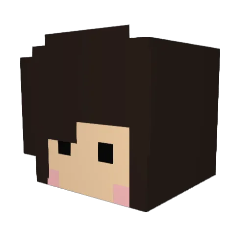 CRMNL Minecraft avatar head, 3D render