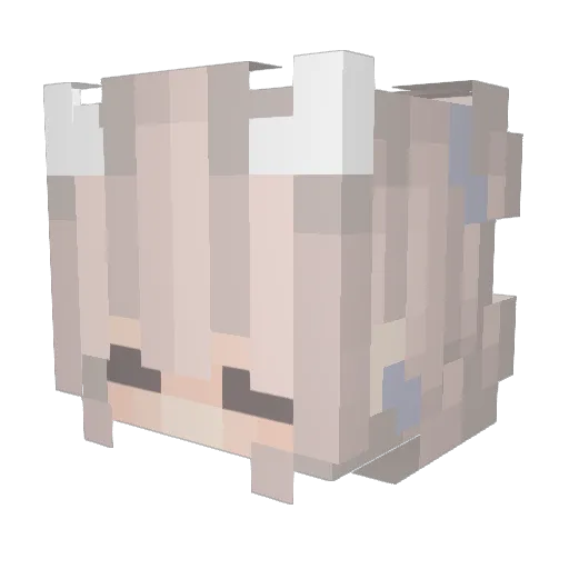 CROCJII Minecraft avatar head, 3D render