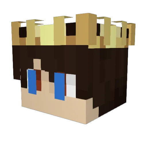 CRO_Niko Minecraft avatar head, 3D render