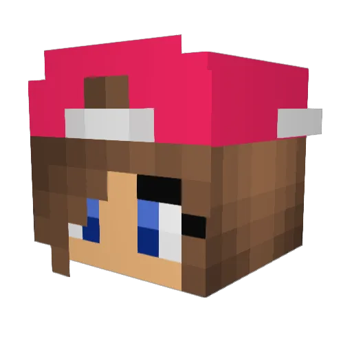 CRUZ11 Minecraft avatar head, 3D render