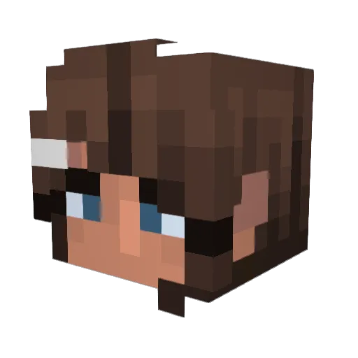 CRYBABY2017AU Minecraft avatar head, 3D render