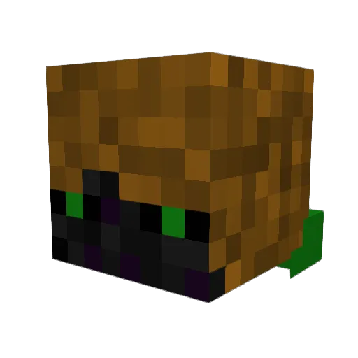 CRYPT1C23 Minecraft avatar head, 3D render