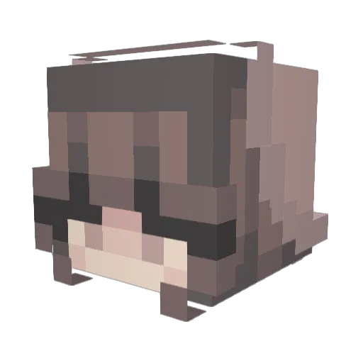 CRYSTALPVPEXPERT Minecraft avatar head, 3D render