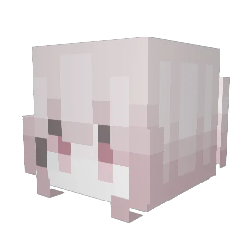 CRYTYPING Minecraft avatar head, 3D render