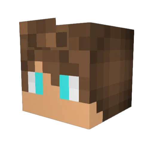 CRandall8 Minecraft avatar head, 3D render