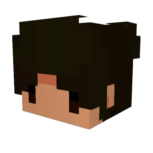 CRandomness Minecraft avatar head, 3D render