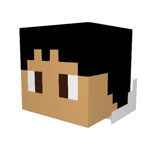 CSA2 Minecraft avatar head, 3D render