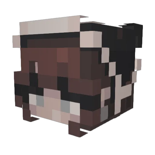 CSD_Minecraft2 Minecraft avatar head, 3D render