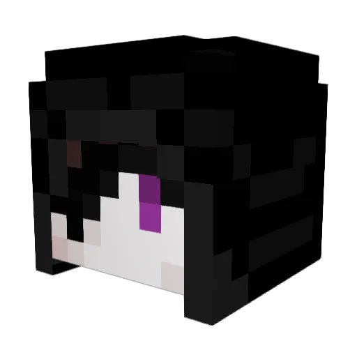 CSFBK Minecraft avatar head, 3D render