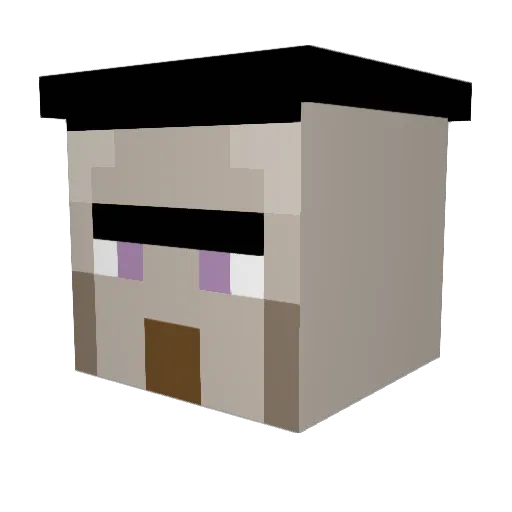 CSH_Will_Toledo Minecraft avatar head, 3D render