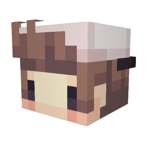 CSIS Minecraft avatar head, 3D render