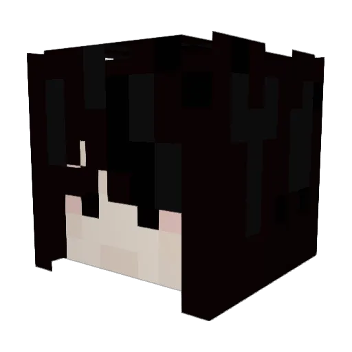 CSMaDDoG Minecraft avatar head, 3D render