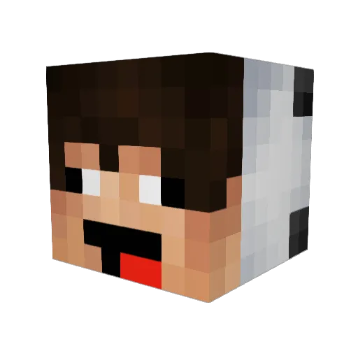 CSisBetter Minecraft avatar head, 3D render