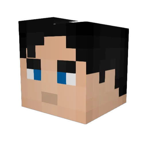 CSkirry Minecraft avatar head, 3D render