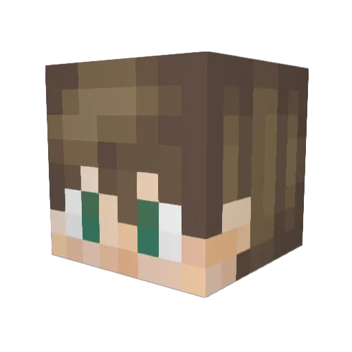 CT9090 Minecraft avatar head, 3D render