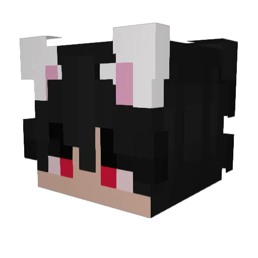 CTDOMC_1110 Minecraft avatar head, 3D render