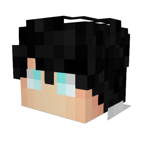 CTDSR Minecraft avatar head, 3D render