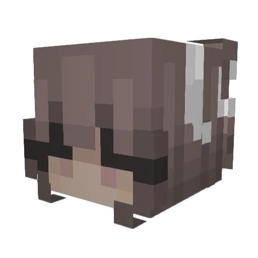 CU8 Minecraft avatar head, 3D render