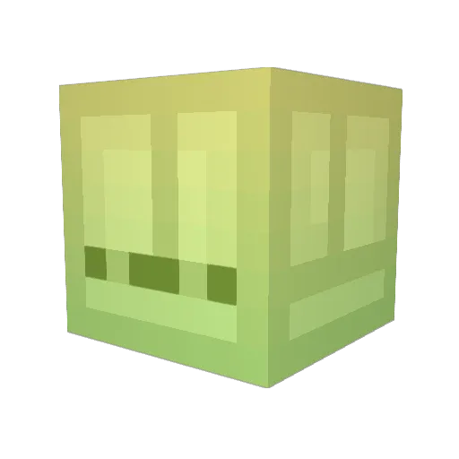 CUBoundNL Minecraft avatar head, 3D render