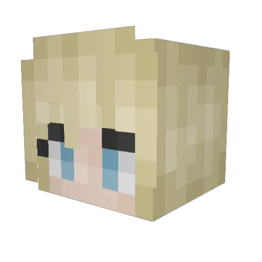 CUCAS1 Minecraft avatar head, 3D render