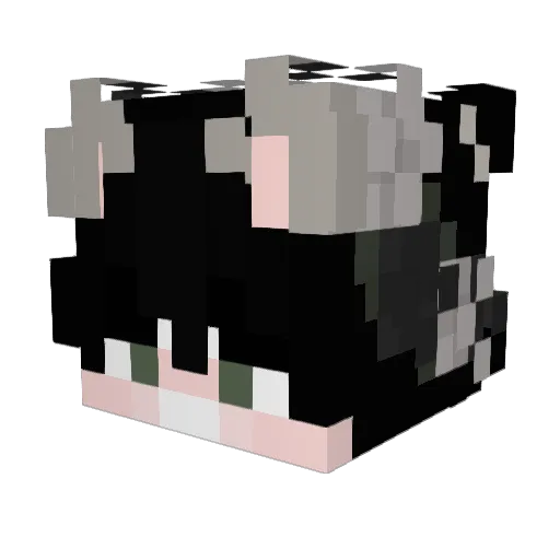 CUNAMW Minecraft avatar head, 3D render