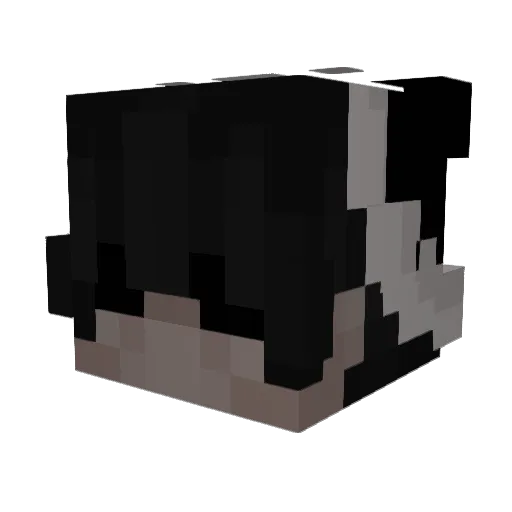 CVYQLOVERDOIYN Minecraft avatar head, 3D render