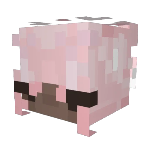 CVnaMon Minecraft avatar head, 3D render