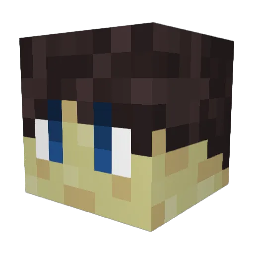 CW1CW2CW3 Minecraft avatar head, 3D render