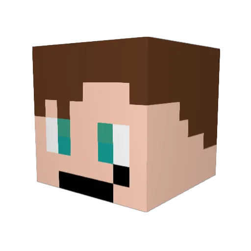 CWA411 Minecraft avatar head, 3D render