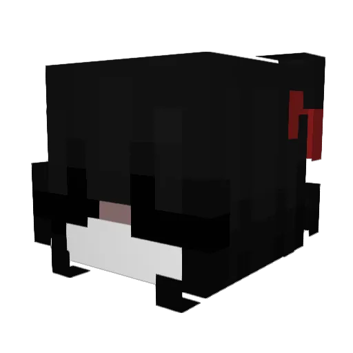 CWASY Minecraft avatar head, 3D render