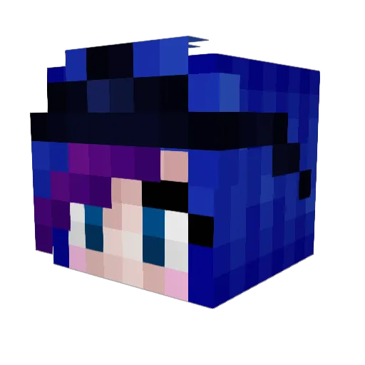 CWCSkootles Minecraft avatar head, 3D render