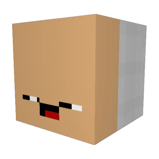 CWN2006 Minecraft avatar head, 3D render