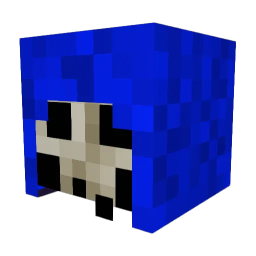 CWO Minecraft avatar head, 3D render