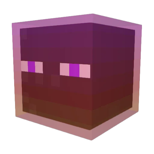 CXKJNSZSTMOBB Minecraft avatar head, 3D render