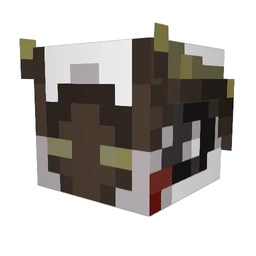 CYOUNEXTTIME Minecraft avatar head, 3D render