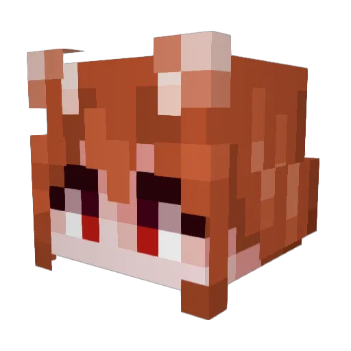 CYYCCC Minecraft avatar head, 3D render