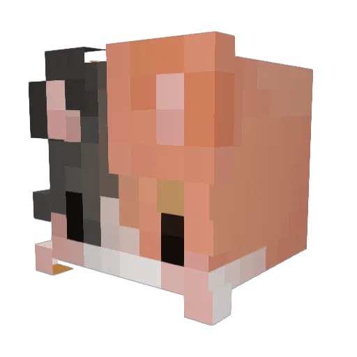 CYZLYNX Minecraft avatar head, 3D render