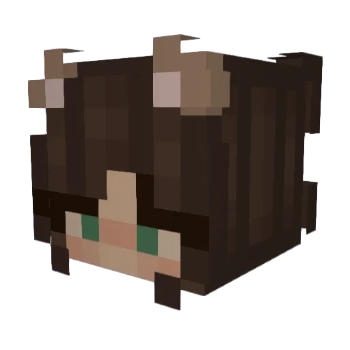 CZ0SN3Q Minecraft avatar head, 3D render
