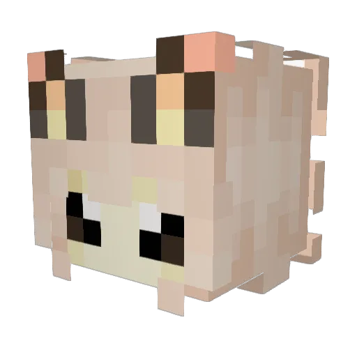 CZN1 Minecraft avatar head, 3D render