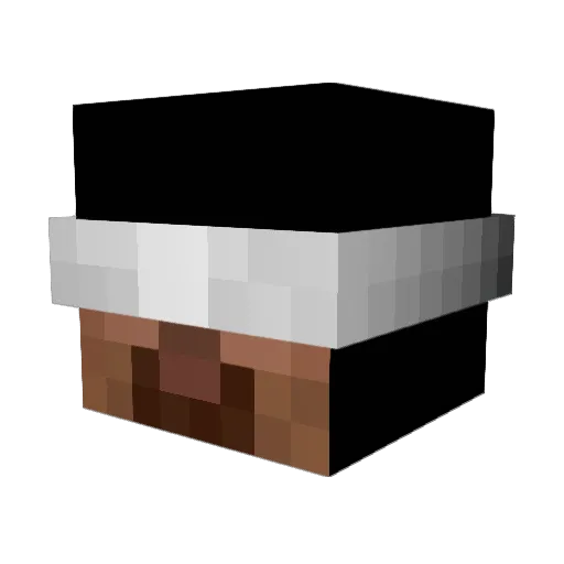 C_Asher8 Minecraft avatar head, 3D render