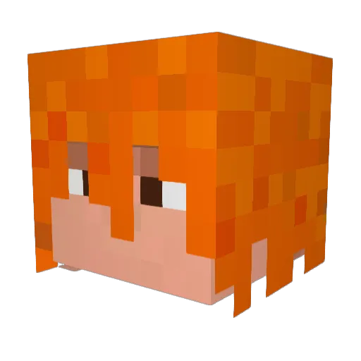 C_CProGamer Minecraft avatar head, 3D render