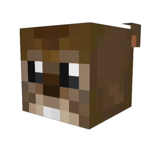 C_DaviD Minecraft avatar head, 3D render