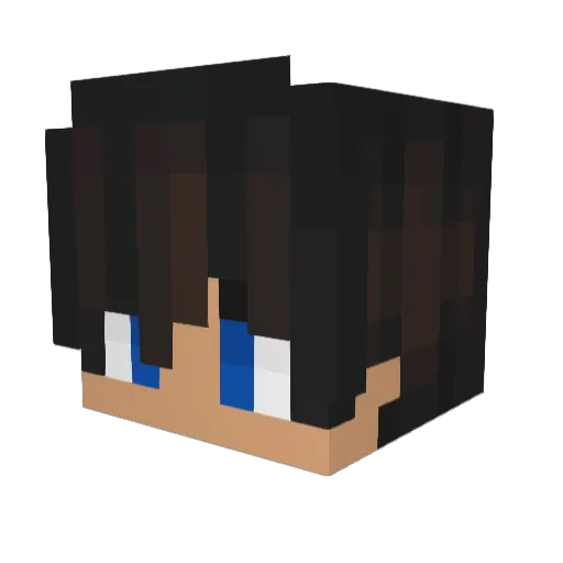 C_Frosty Minecraft avatar head, 3D render