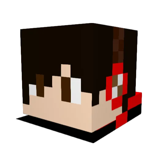 C_Night Minecraft avatar head, 3D render
