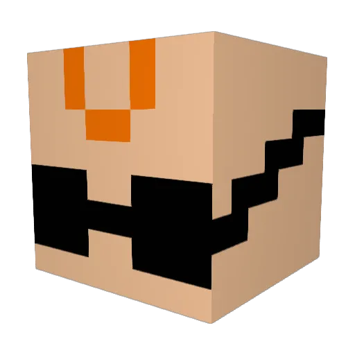C_O_D_E_R Minecraft avatar head, 3D render
