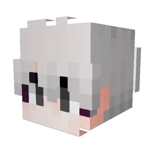 C_Yong Minecraft avatar head, 3D render