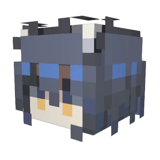 C__Texas Minecraft avatar head, 3D render