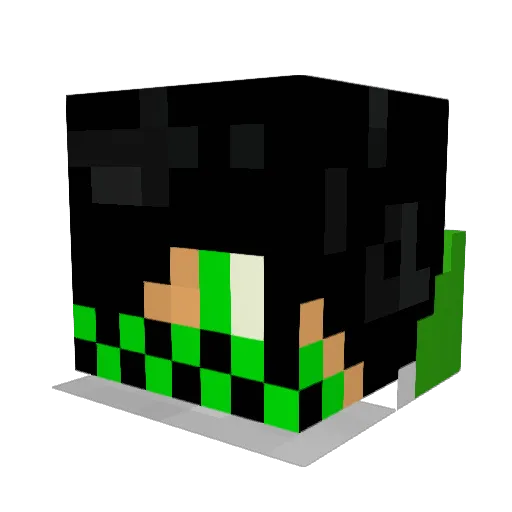 C_goose Minecraft avatar head, 3D render