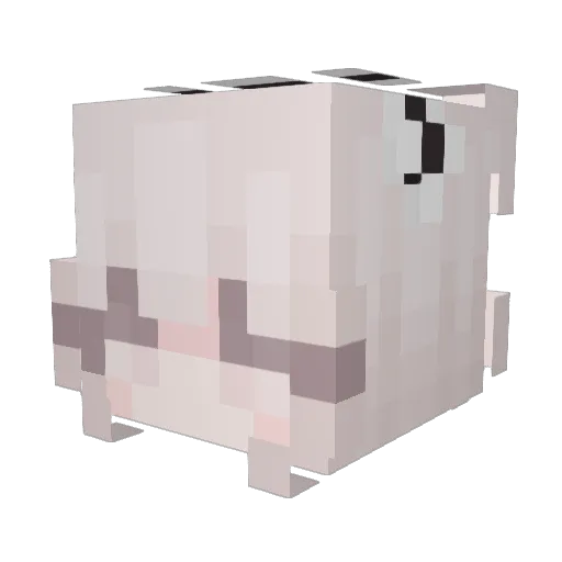 C_ius Minecraft avatar head, 3D render