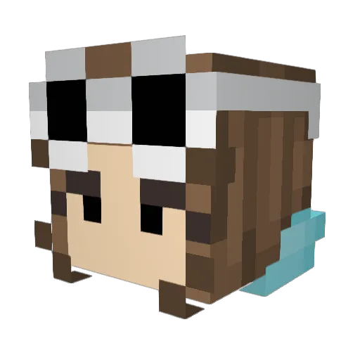 C_oel Minecraft avatar head, 3D render